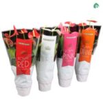 Anthurium mixed 17/55 3fl
